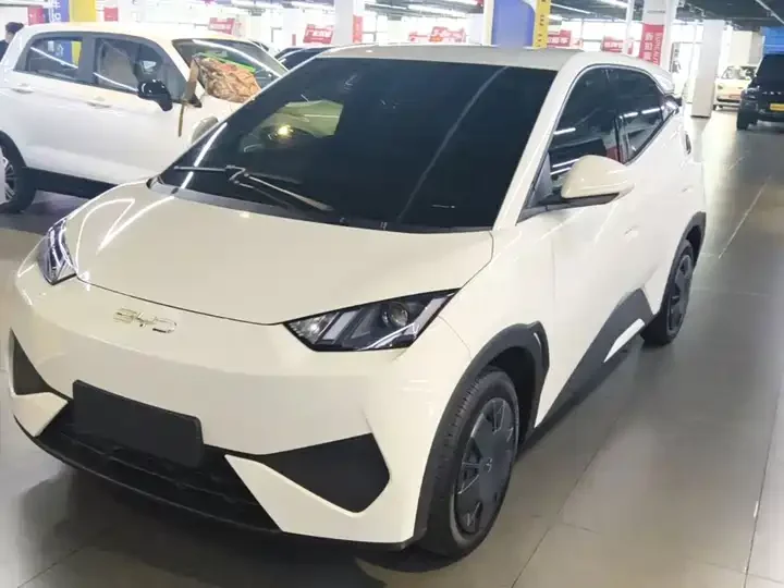 BYD Seagull 305 km Intelligent Vitality Edition