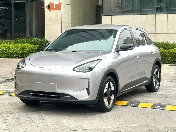 Geely Galaxy Xingyuan Xingyuan 310KM Youth Edition