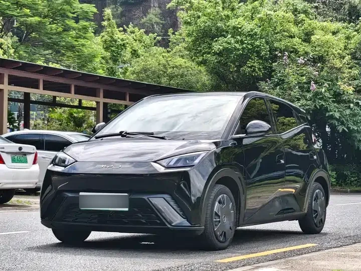 BYD Seagull 2024 Glory Edition 305 km Vitality